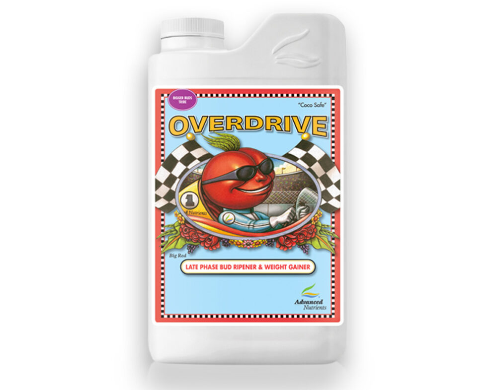 Advanced OVERDRIVE Leeds Hydroponics UK's Best Hydroponics Build